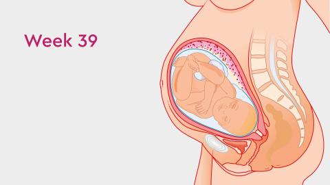 39 Weeks Pregnant Symptoms Not to Ignore Signs of Labour